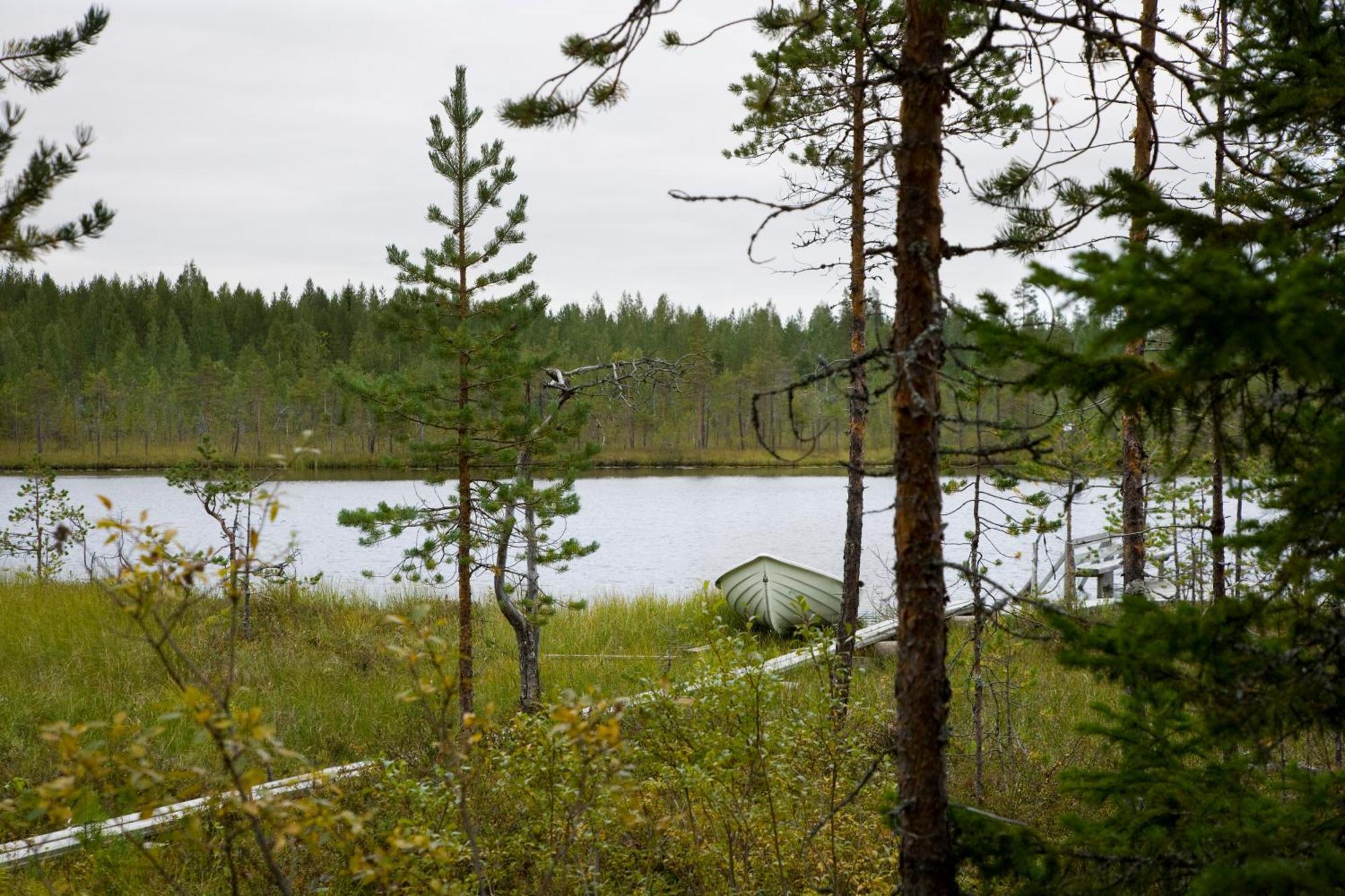 Ukonloma Haerkaelampi Villa Rovaniemi Exterior photo